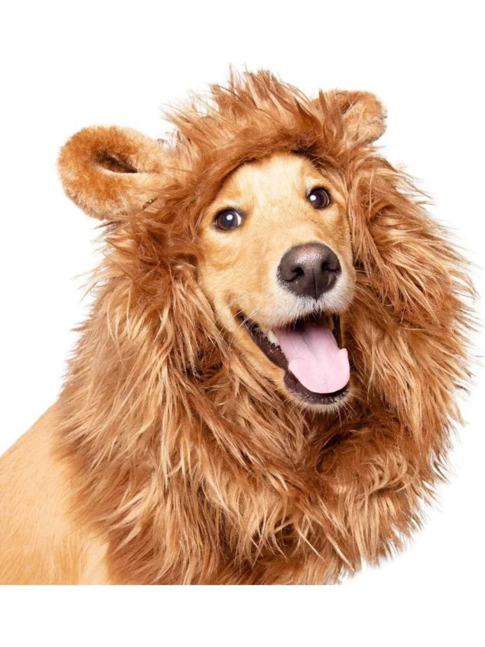 Large Dog Lion Mane Costume Wig - Fun Pet Costume for Halloween & Dress Up